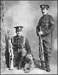 Airedale de guerre