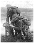 Airedale au front