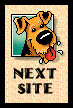 Next Airedale Ring
Site