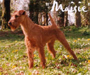 "Maisie"