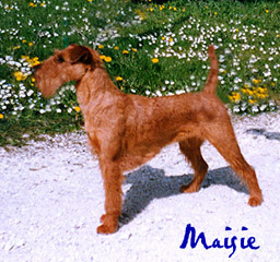 M%aisie, la future maman