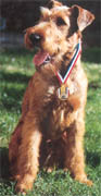 Murphy, Champion de France