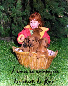 Léonie et les chiots de Rose