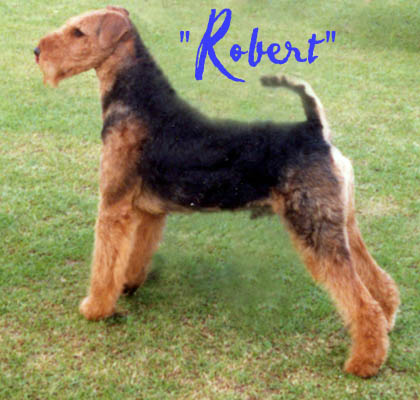 Robert