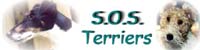 S.O.S. terriers
