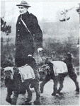 auxiliaires de l'armée britannique